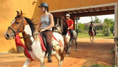 Horse Safari, Feel Like the King on the Horseback