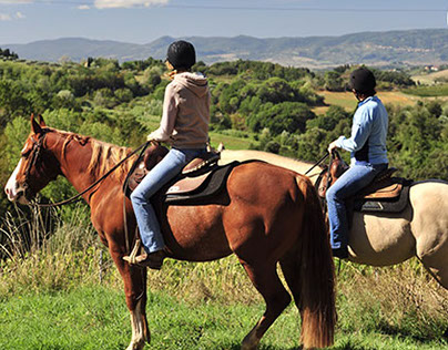 Horse Safari, Feel Like the King on the Horseback