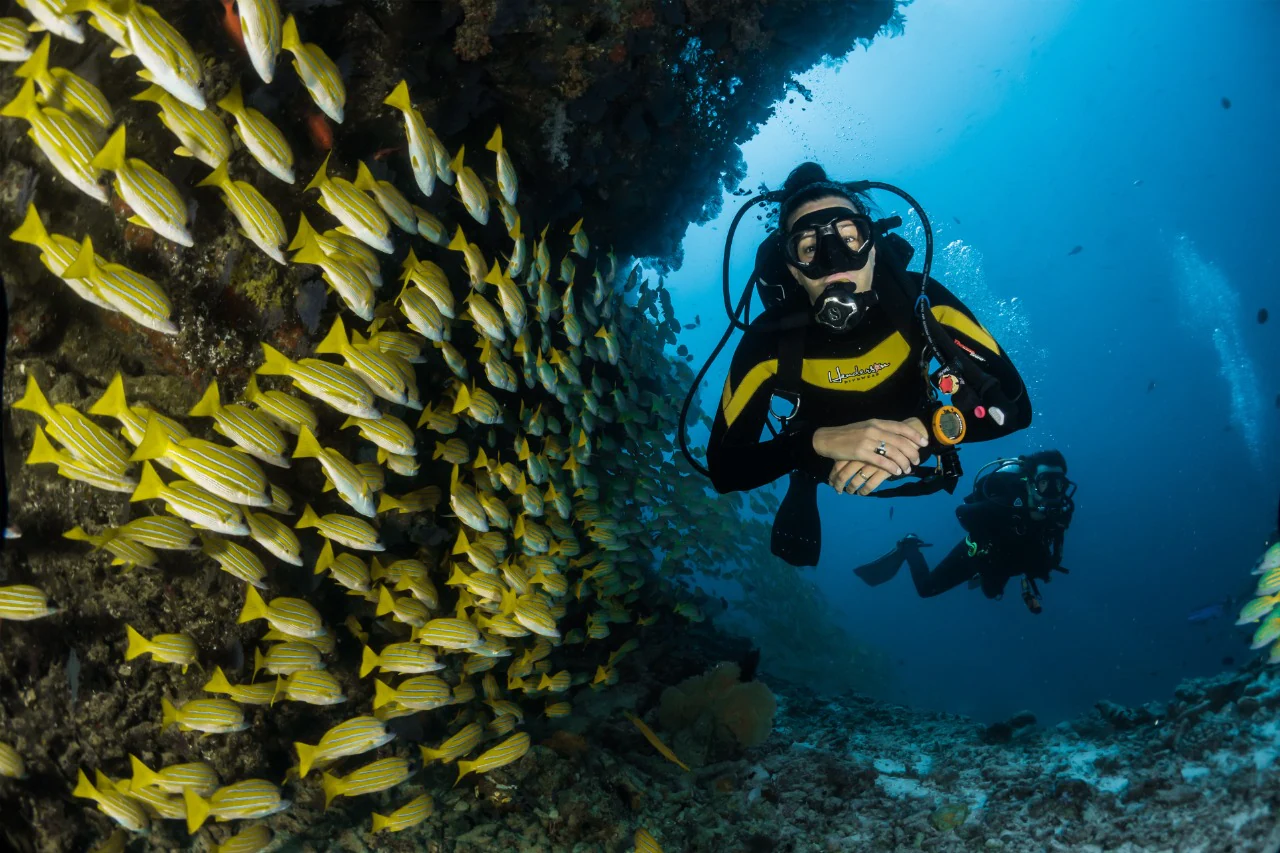 Scuba Diving, Adventure Under Water