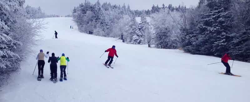Skiing, Sport of Winter, Sport of Snow