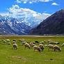 Ladakh in Summers - Travel My Destination