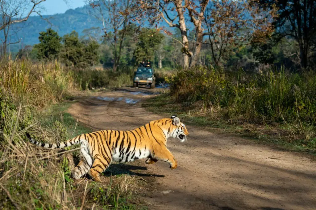 Chandratal Lake Road Status 2023 - 24