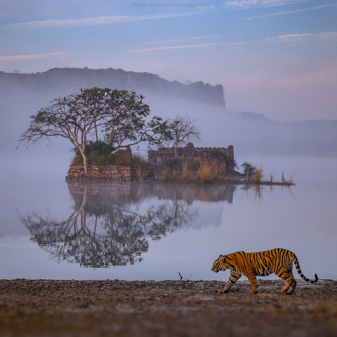 Ranthambhore National Park