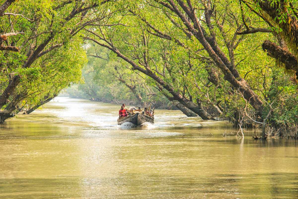 Sundarban National Park