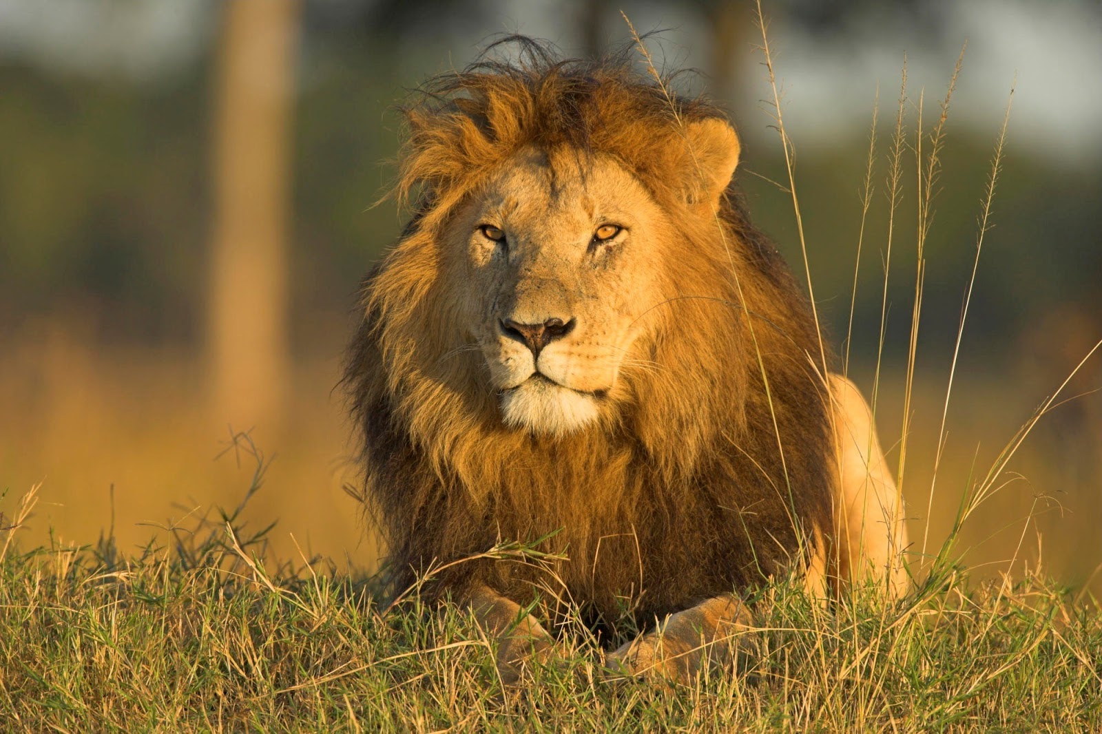 Sundarban National Park